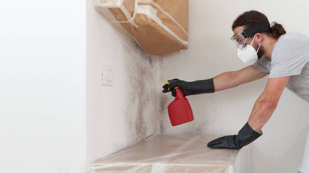 Professional Bathroom Mold Removal technician working in West Roxbury, MA