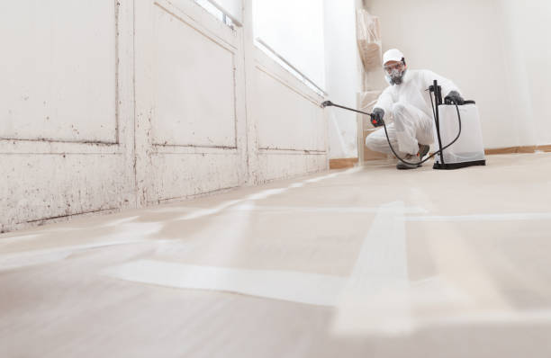 24/7 Emergency Bathroom Mold Removal experts in West Roxbury, MA